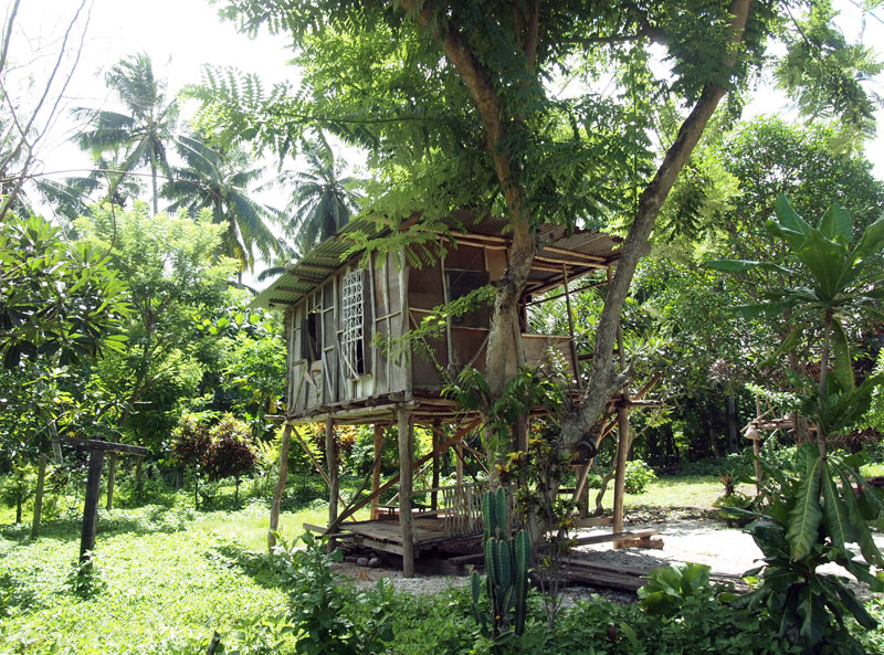 途中にあった村の家。かわいすぎる。家も自然素材でできているので、周りのジャングルと溶け込んでてまったく違和感がない。